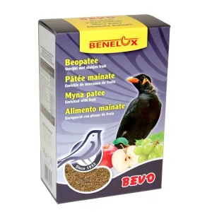 BENELUX | Nourriture Oiseaux Pâtée Aux Fruits Mainates 1 kg