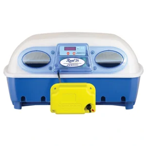 Borotto | Couveuse automatique Real 24 automatique